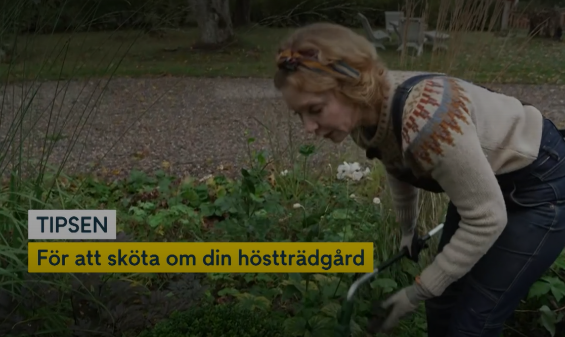 Linda Schilen biologisk mångfald